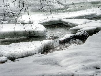 Close-up of hand on snow