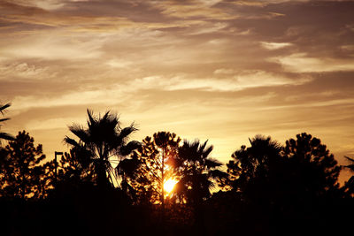 Silhouette trees against sky during sunset