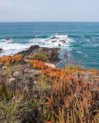Scenic view of sea against sky