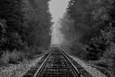 View of railroad tracks along trees