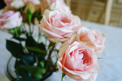 Close-up of rose bouquet