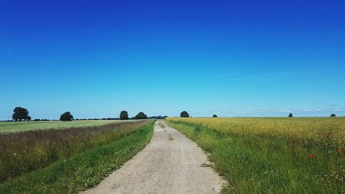 Scenic view of field against clear blue sky