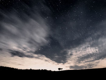 Low angle view of silhouette trees against sky at night