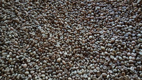 Full frame shot of raw coffee beans