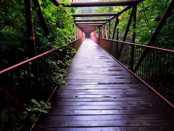 Footbridge over stream amidst trees