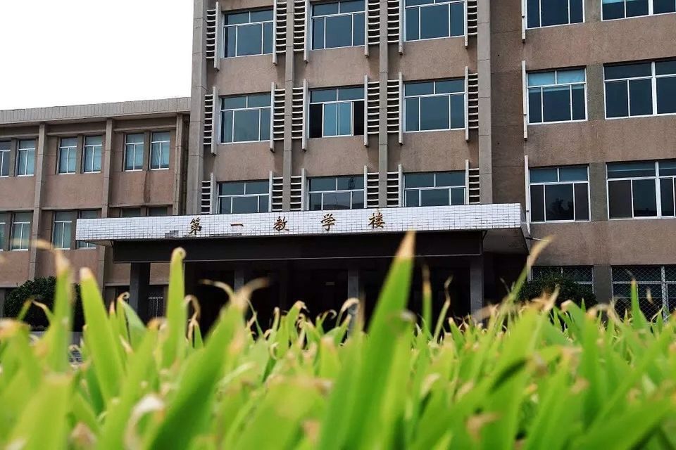 building exterior, architecture, built structure, building, window, grass, plant, residential building, clear sky, city, residential structure, day, outdoors, green color, no people, facade, growth, exterior, low angle view, railing