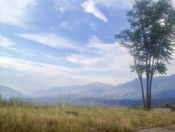 Scenic view of field against sky