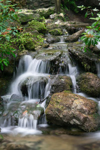 Stream flowing through rocks in forest