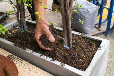 Close-up of hand of a man gardening