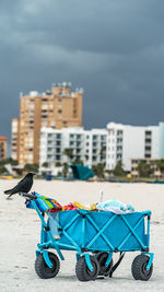  black crow sitting on top of a blue cart on sandy beach against hotels and dark clouds in background