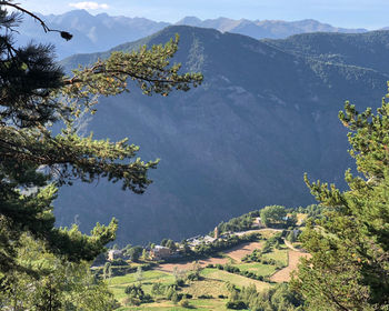 High angle view of trees and mountains