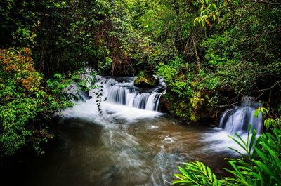 Scenic view of waterfall in forest