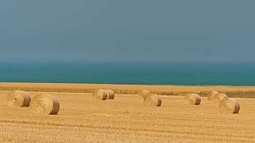 Hay bales on field by sea against sky