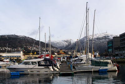 Sailboats moored at harbor