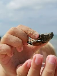 Close-up of person holding hands