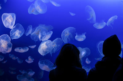 Rear view of silhouette couple looking at jellyfish in aquarium