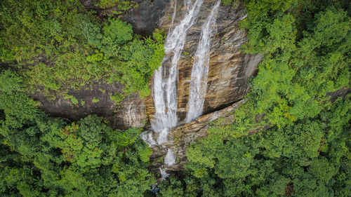 Scenic view of waterfall in forest
