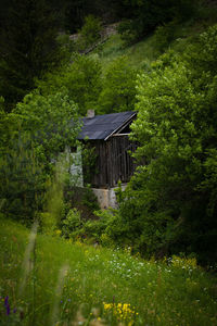 Built structure by trees in forest