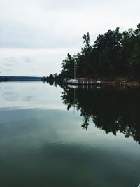 Reflection of trees in calm lake