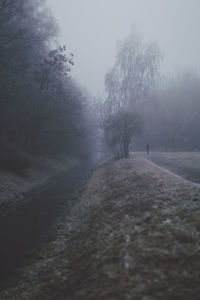 Wet road amidst trees against sky during rainy season