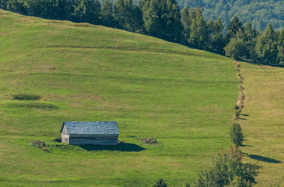 High angle view of grassy field