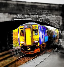 Close-up of yellow flowers