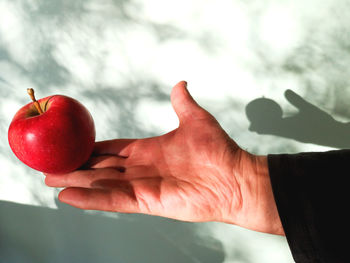 Close-up of hand holding strawberry