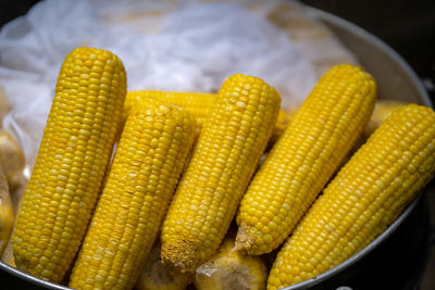 High angle view of sweet corn