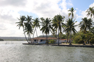 Simple houses on an island surrounded by coconut trees on a sunny and windy afternoon