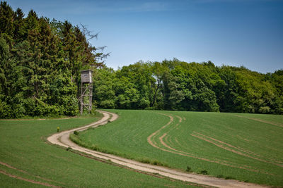 Scenic view of trees on field against sky