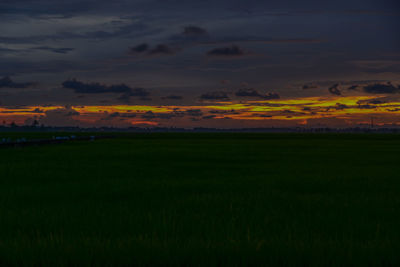 Scenic view of field against sky during sunset