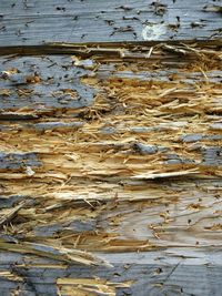 High angle view of dry leaf on beach