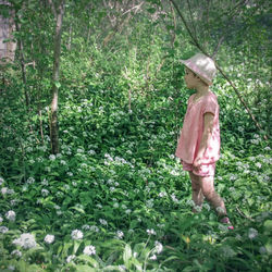 Rear view of woman standing amidst trees in forest