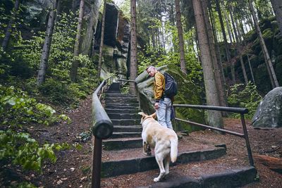 Full length of man with dog standing on steps in forest