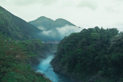 Scenic view of river amidst trees against sky