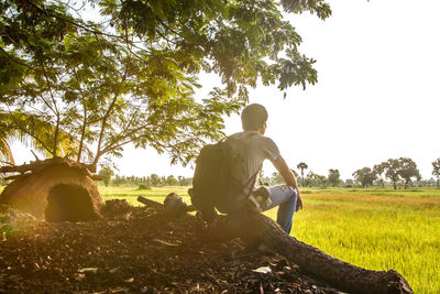 Rear view of man sitting on field against clear sky