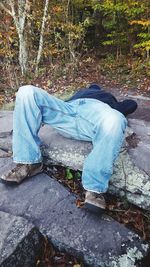 Low section of man on tree