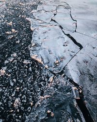 Full frame shot of old tree trunk