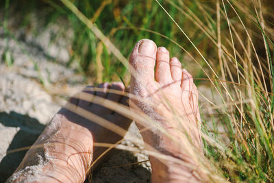 Woman's feet close up on the white sand in the dunes. summer concept.