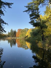 Scenic view of lake by trees against sky