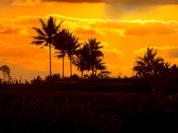Silhouette palm trees on field against orange sky