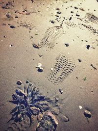 High angle view of footprints on sand at beach