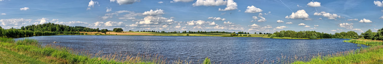 Panoramic view of trees against cloudy sky