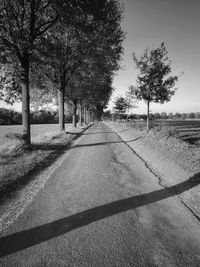 Road amidst trees on field against sky