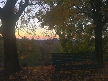 Trees against sky during autumn