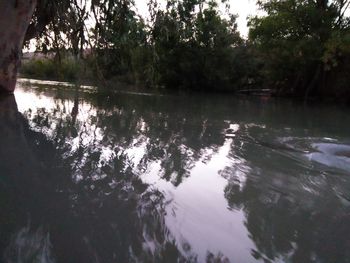 Scenic view of lake in forest