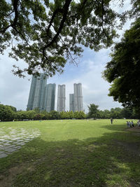 Trees growing on field against cloudy sky