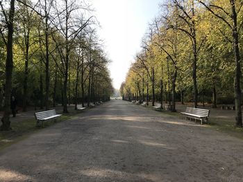Empty bench amidst trees in park against sky