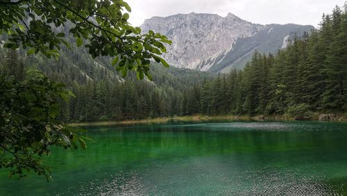 Scenic view of lake and mountains