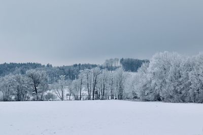 Trees on snow covered field against sky